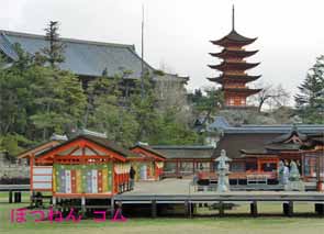 �����_��