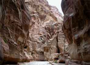 �y�g�����