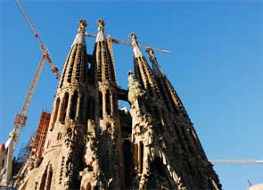 �T�N���_�t�@�~���A