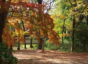 �����_��